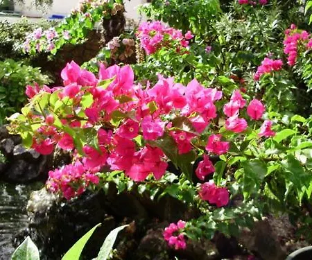 Volte Апартаменты