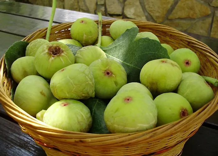 Apartman Volte Punat