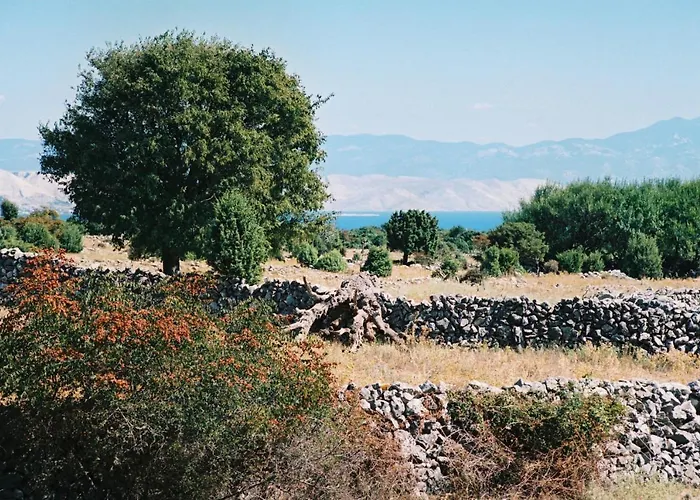 Volte Apartman Punat