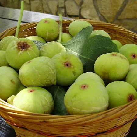 Apartment Volte Punat